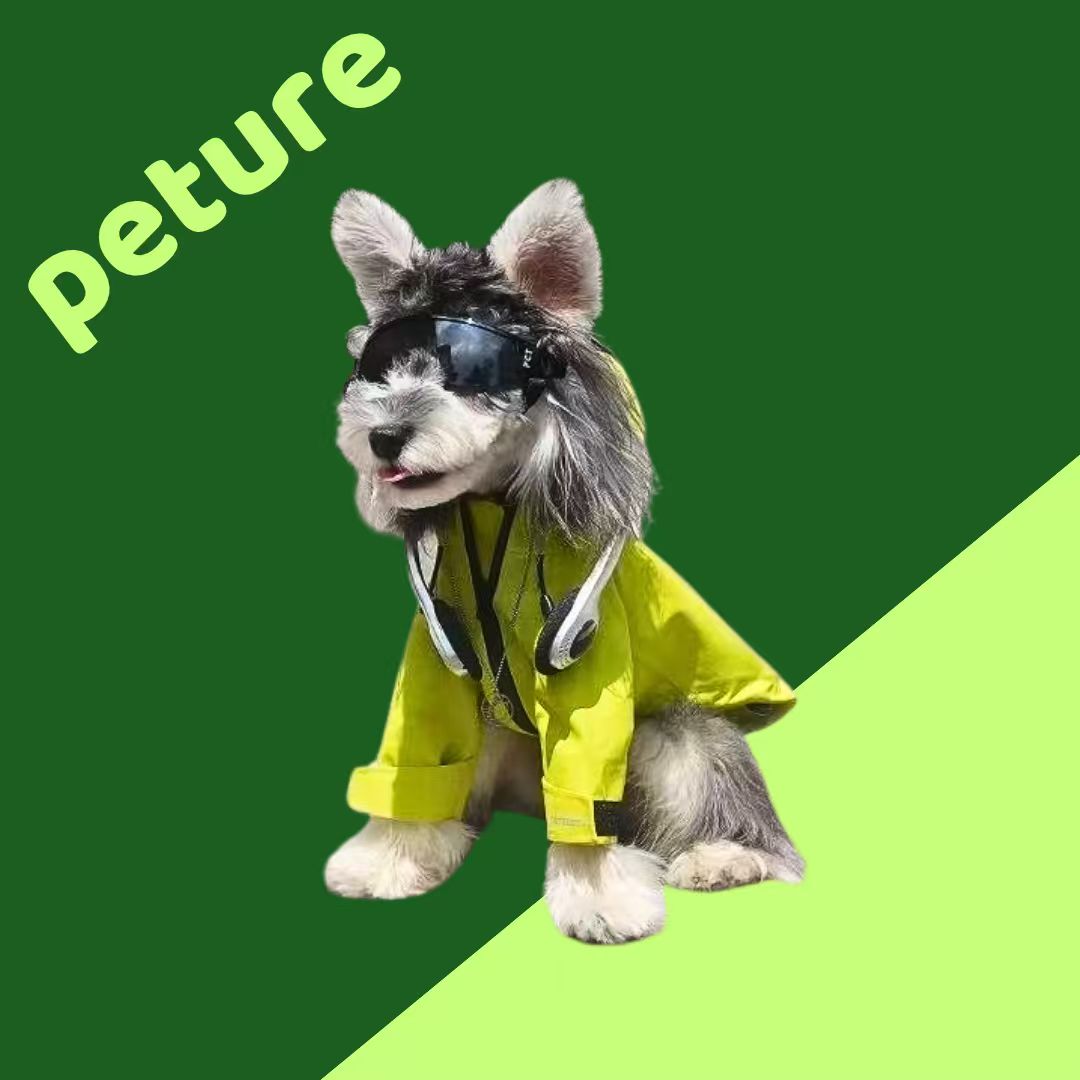 “Everyday Care for Your Pet: Simple Habits for a Healthy, Happy Furry Friend”