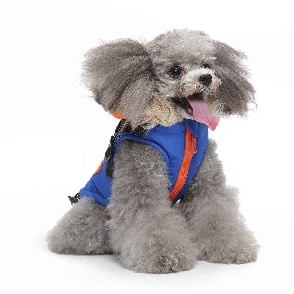 Warm Adventures: The Winter Jacket Every Dog Deserves
