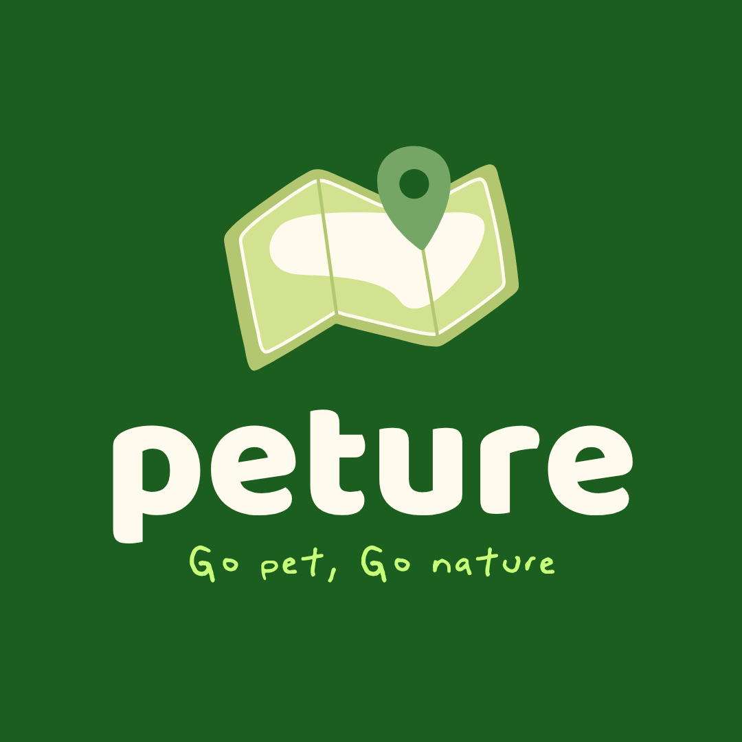 The Ultimate Guide to Pet Travel Backpacks: From City Rides to Outdoor Adventures