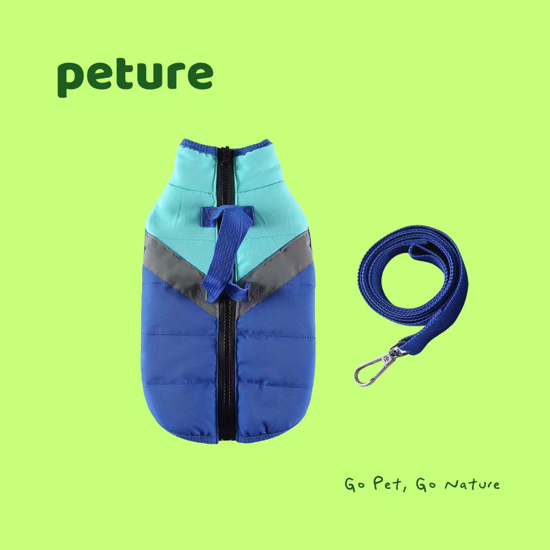 “Why Your Pet Gets Anxious Around New People — And How to Help Them Feel Safe Again”