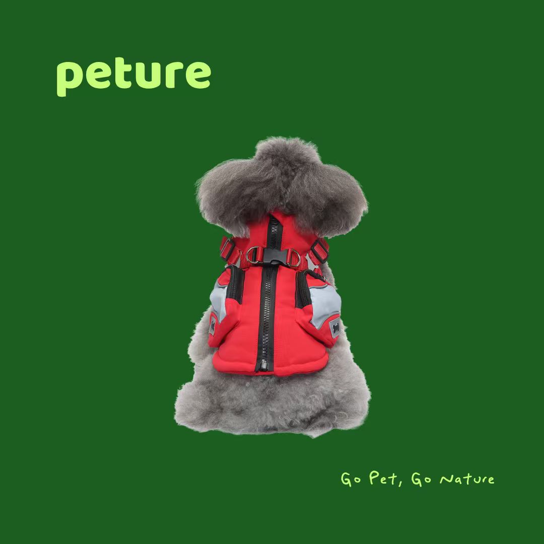 “Understanding Your Pet’s Behavior: How to Strengthen Your Bond with Your Furry Friend”