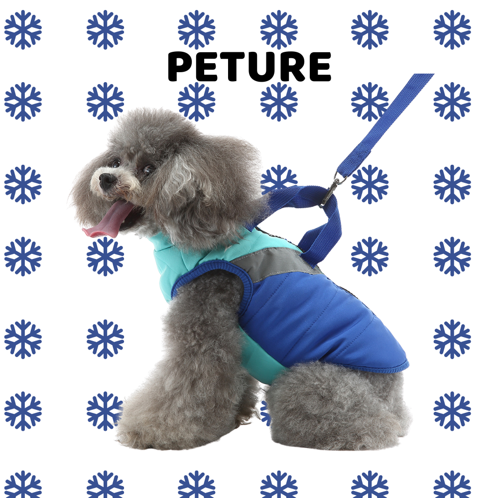 Winter Warmth Guide for Short-Haired Pets: Cozy Without the Bulk – Super Practical Product Matching Tips!