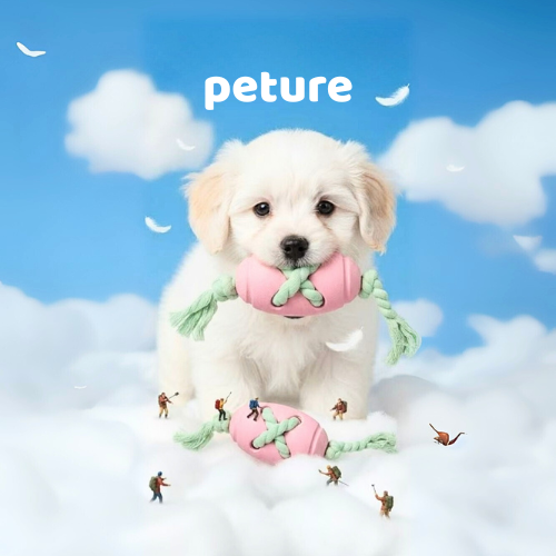 Winter Is Coming: How to Prepare Your Pet for Cold Weather