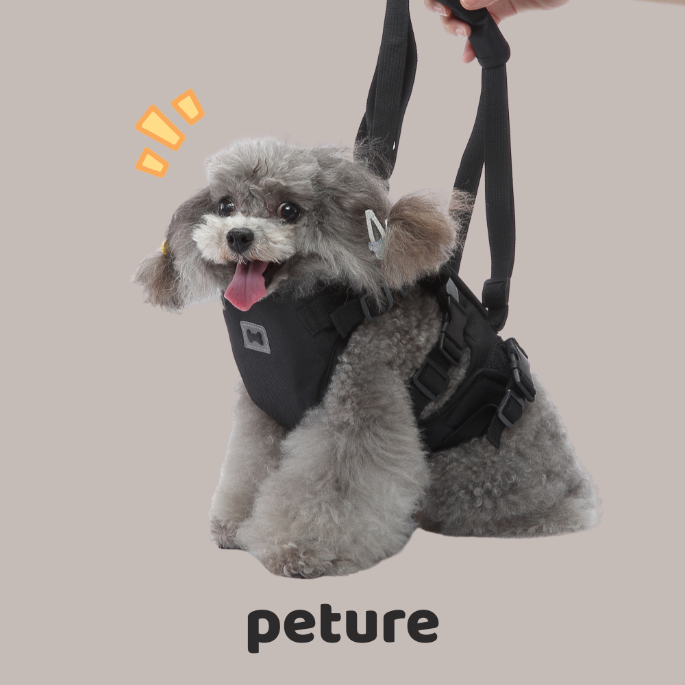 Beyond the Leash: How Stylish Gear Makes Every Pet Adventure a Story