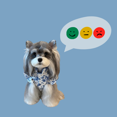 🐾   “When Your Pet Meets a New Friend: How to Help Them Adjust to New Pets and People”