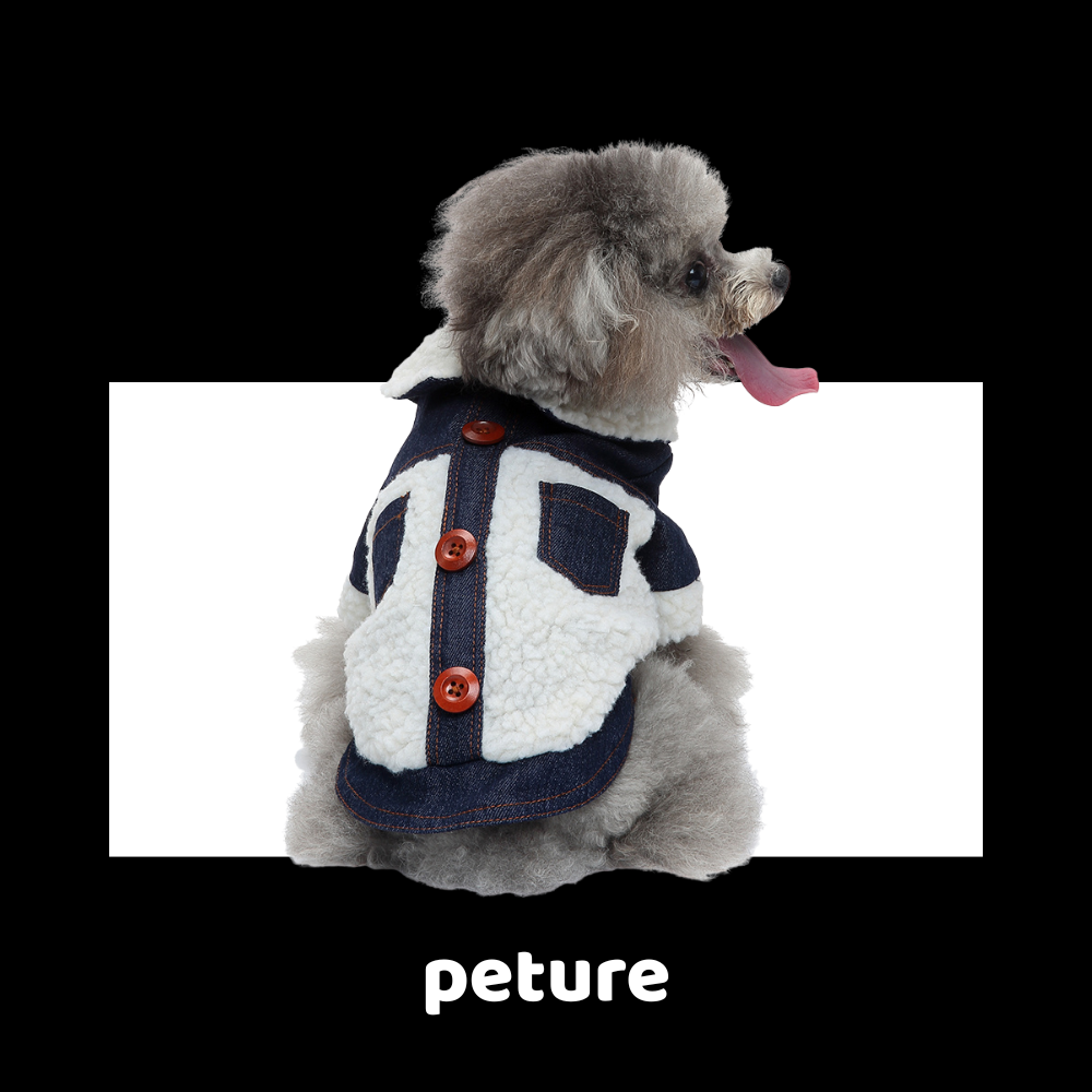 “City Pets, Cozy Hearts — How Urban Life Is Changing the Way We Care for Our Companions”