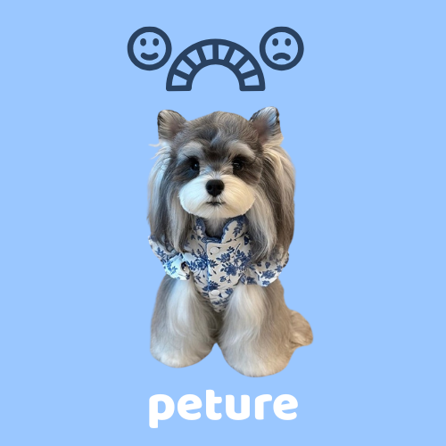 Why Pets Mirror Our Emotions — And What That Means for Owners