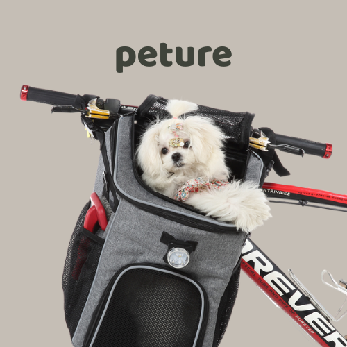 “Socializing Your Pet: Why It’s Important and How to Make It Fun”