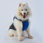 Cozy Pocket Dog Coat with Fleece Panels