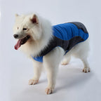 Cozy Pocket Dog Coat with Fleece Panels