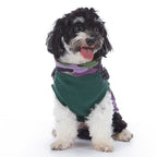 Integrated Harness Camo Dog Vest