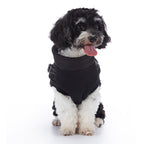 Reflective Piped Built‑in Harness Dog Vest
