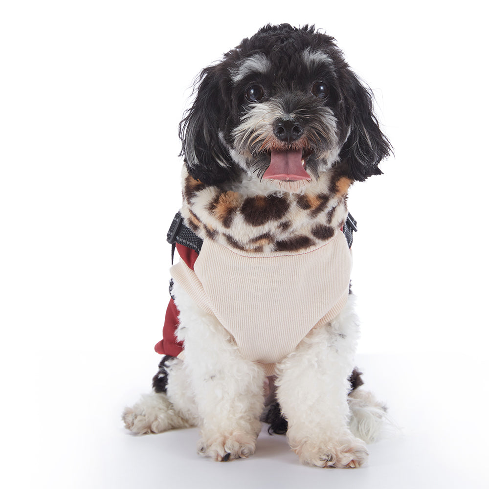 Leopard Faux‑Fur Collar Harness Dog Vest