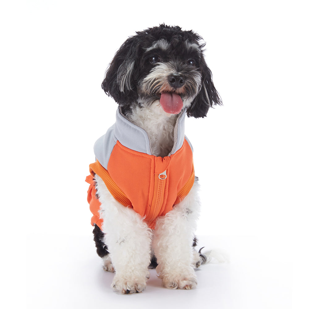 Colorblock Utility Cargo Pocket Dog Vest