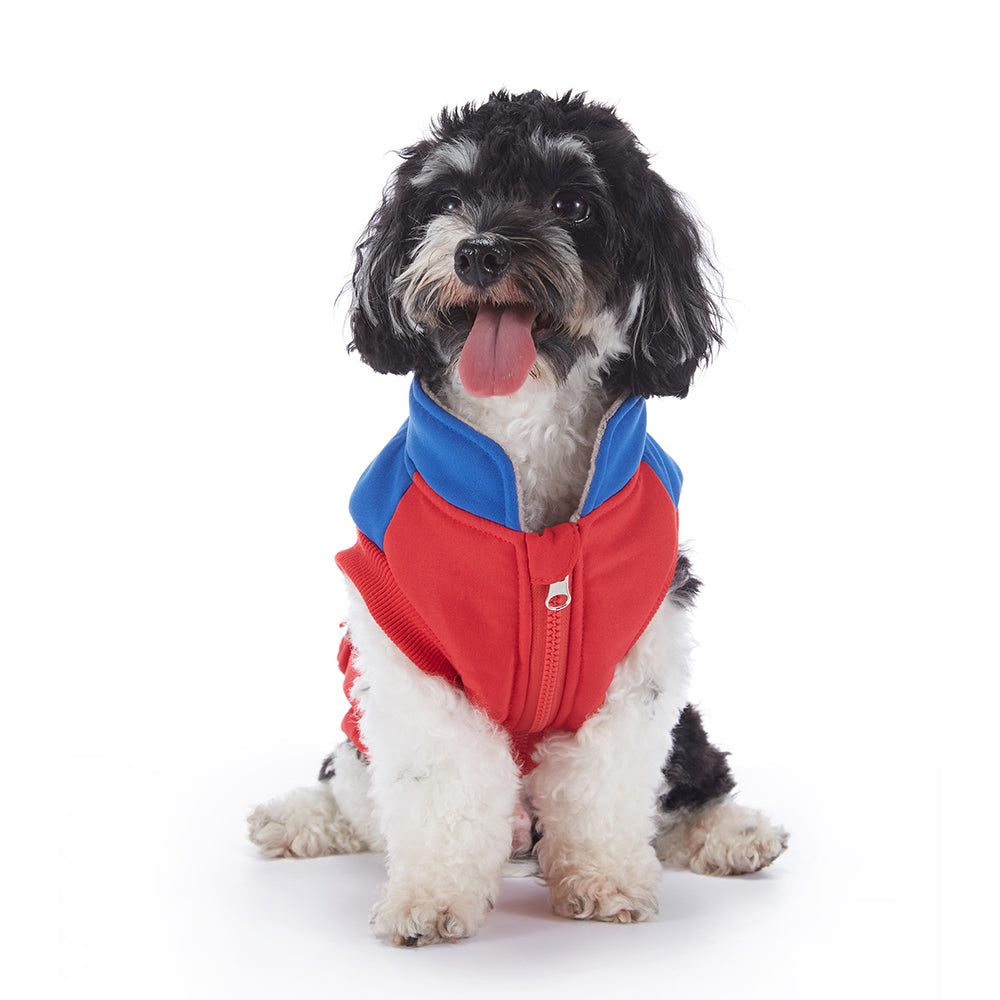 Colorblock Utility Cargo Pocket Dog Vest