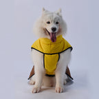Sporty Belted Dog Coat with Fleece Lining