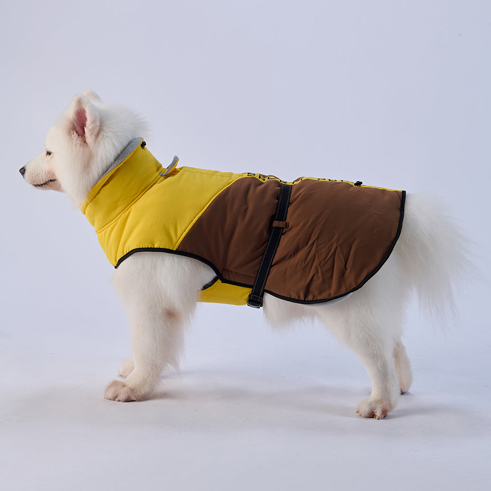 Sporty Belted Dog Coat with Fleece Lining