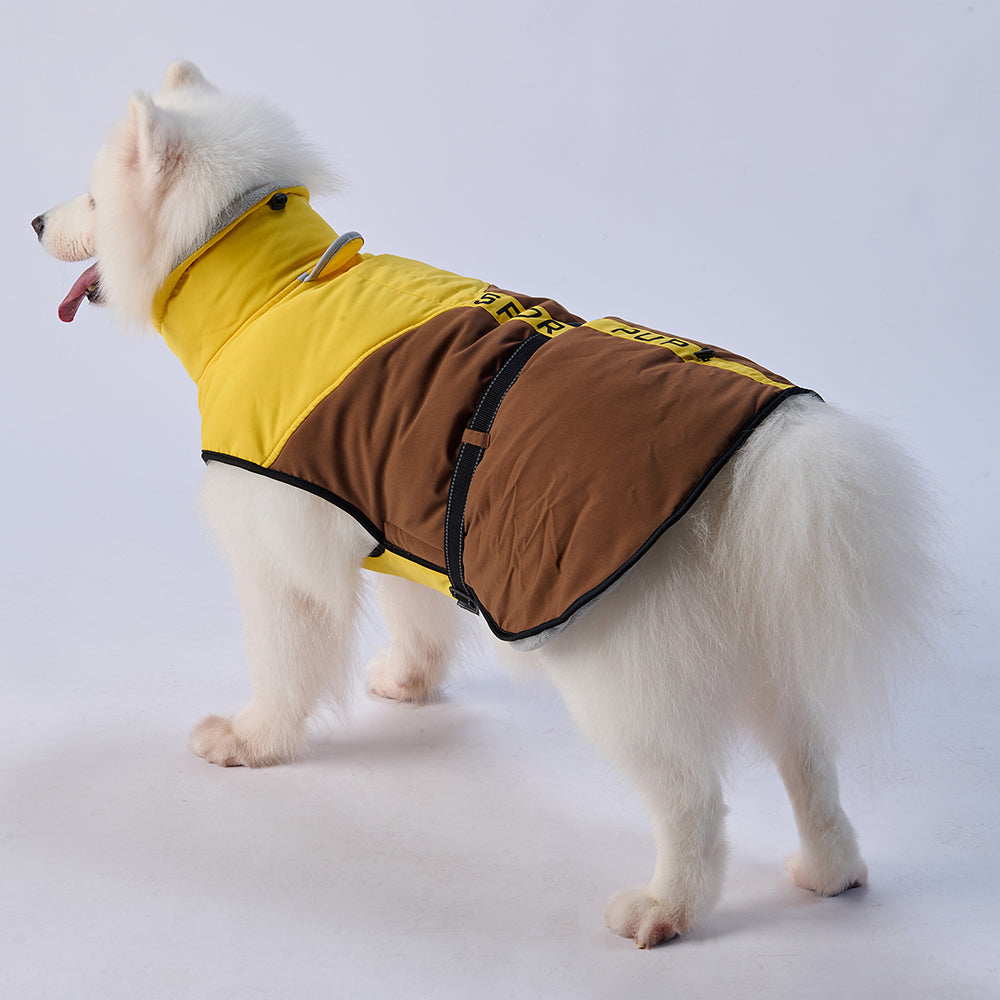 Sporty Belted Dog Coat with Fleece Lining
