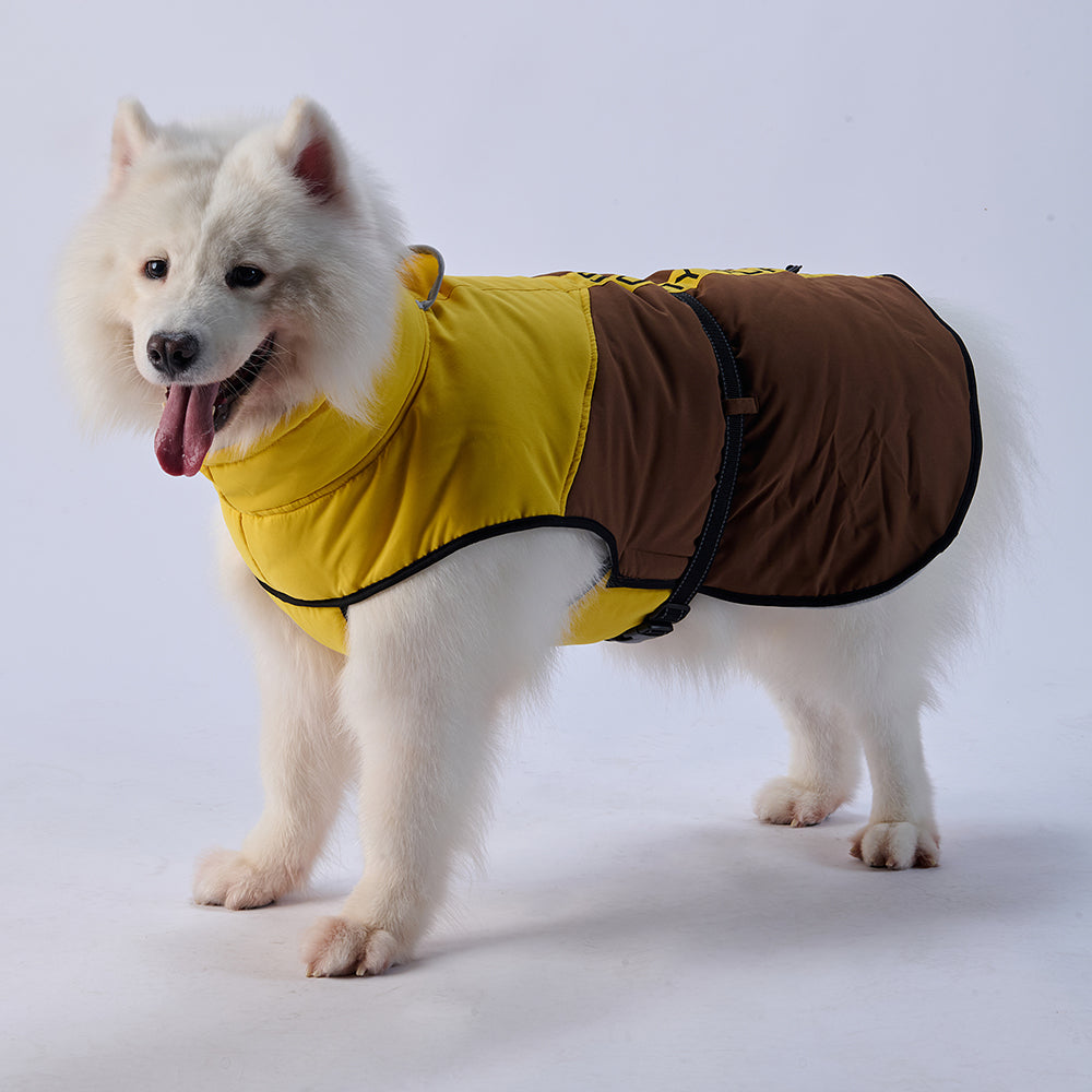 Sporty Belted Dog Coat with Fleece Lining