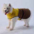 Sporty Belted Dog Coat with Fleece Lining