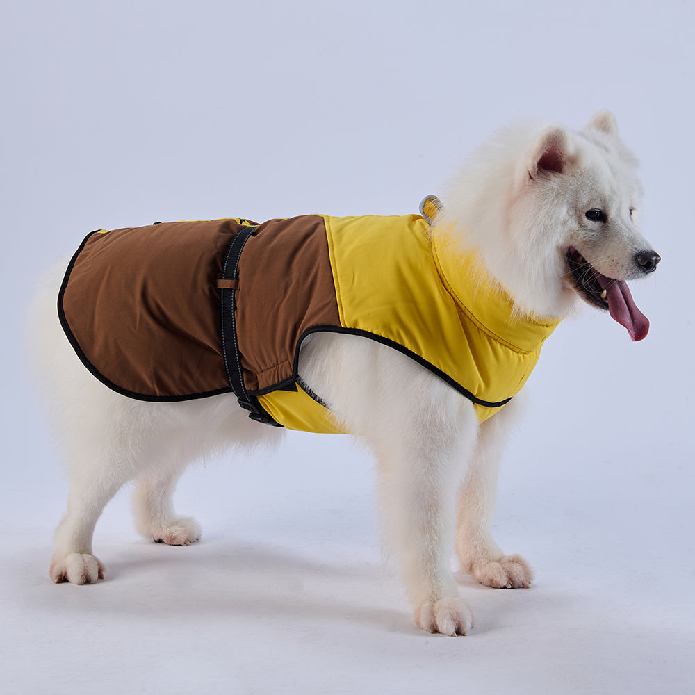 Sporty Belted Dog Coat with Fleece Lining