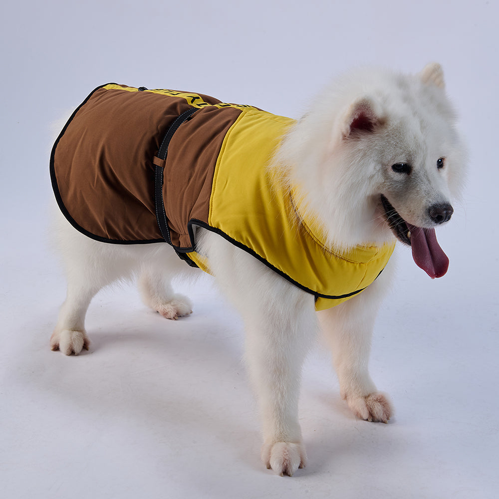 Sporty Belted Dog Coat with Fleece Lining