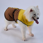 Sporty Belted Dog Coat with Fleece Lining