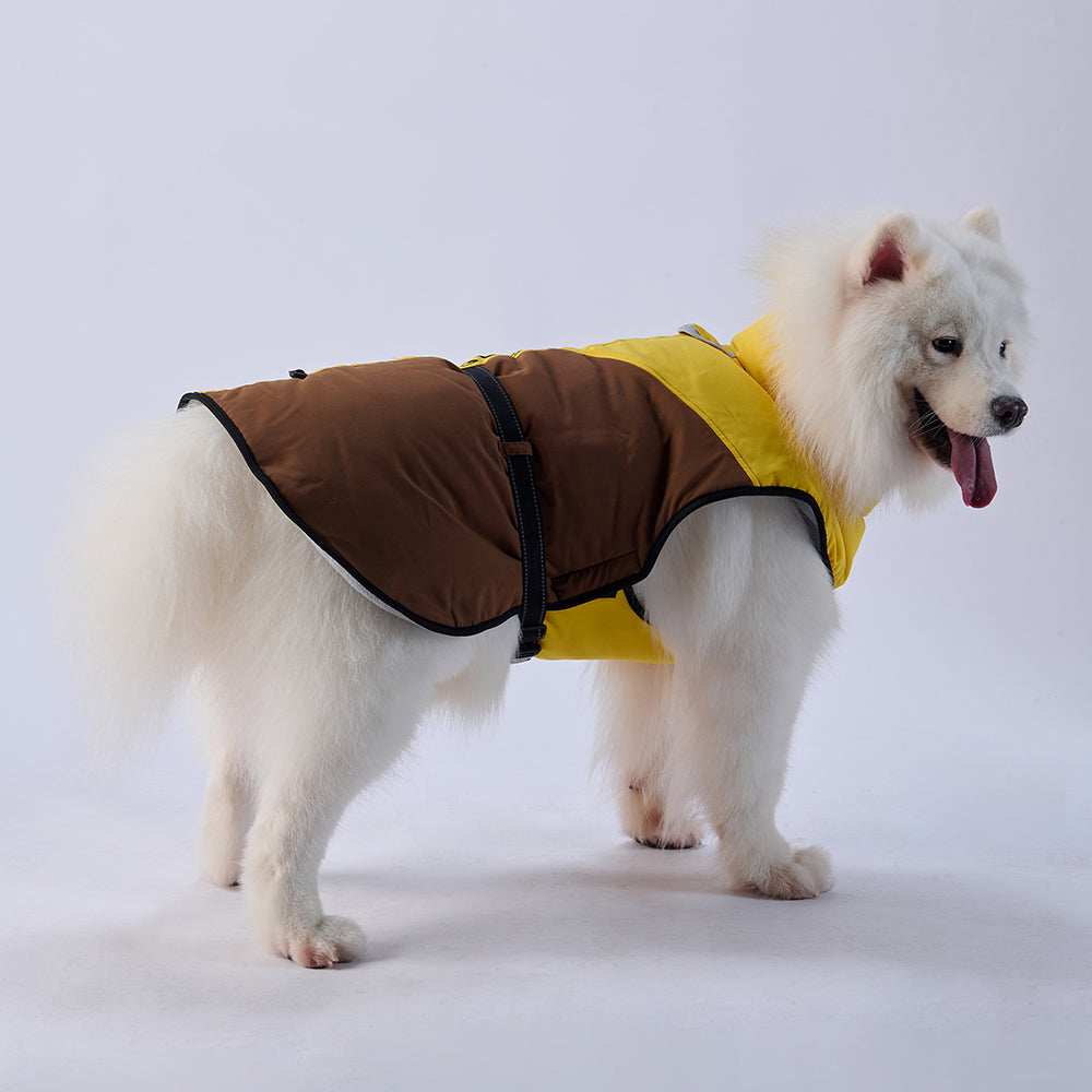 Sporty Belted Dog Coat with Fleece Lining