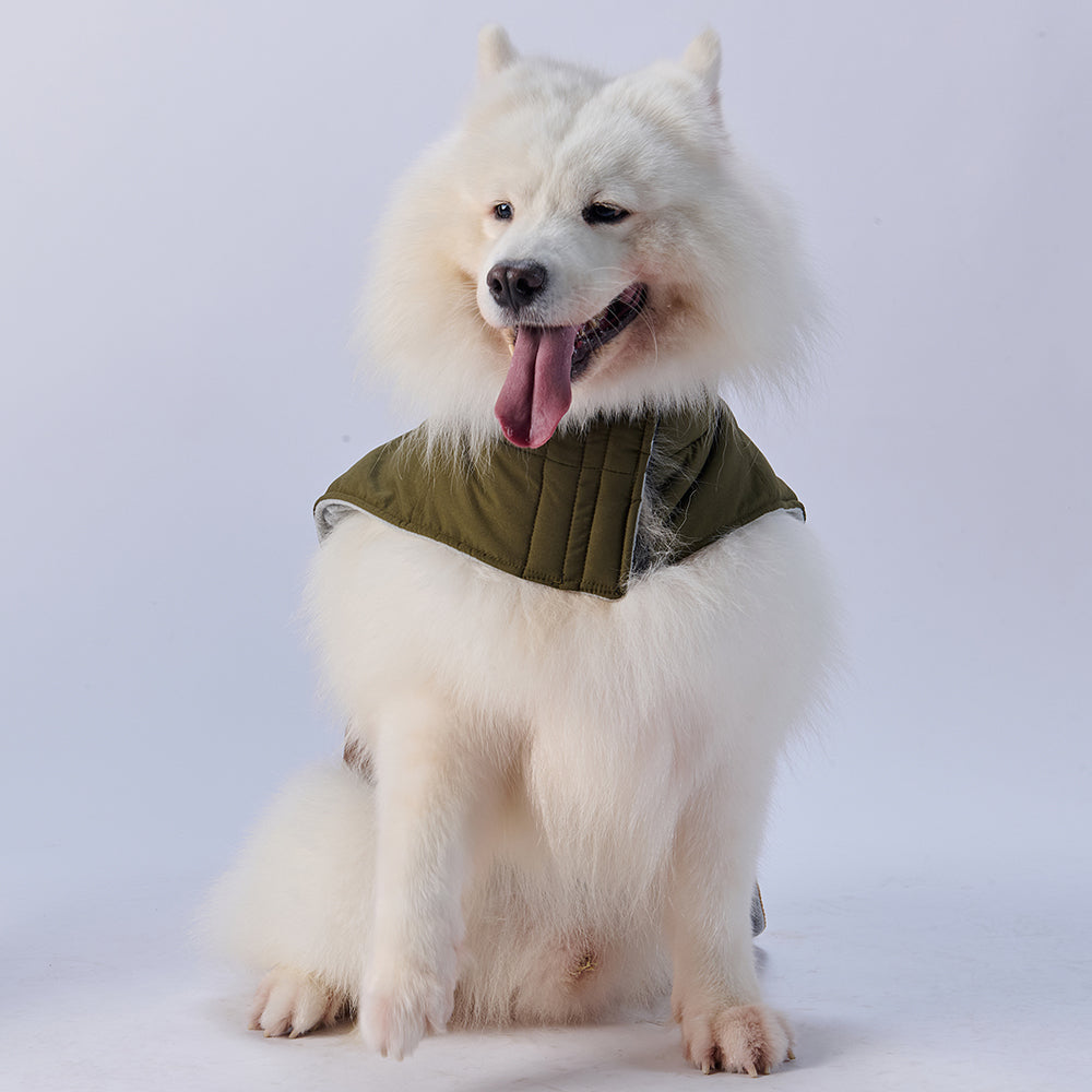 Colorblock Reflective Dog Coat with Fleece Lining