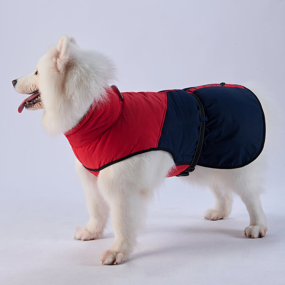 Sporty Belted Dog Coat with Fleece Lining