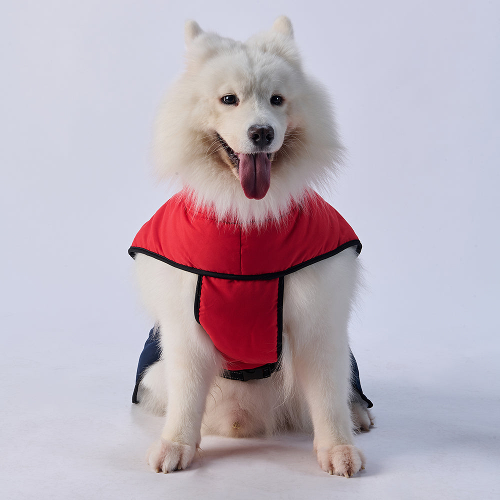 Sporty Belted Dog Coat with Fleece Lining