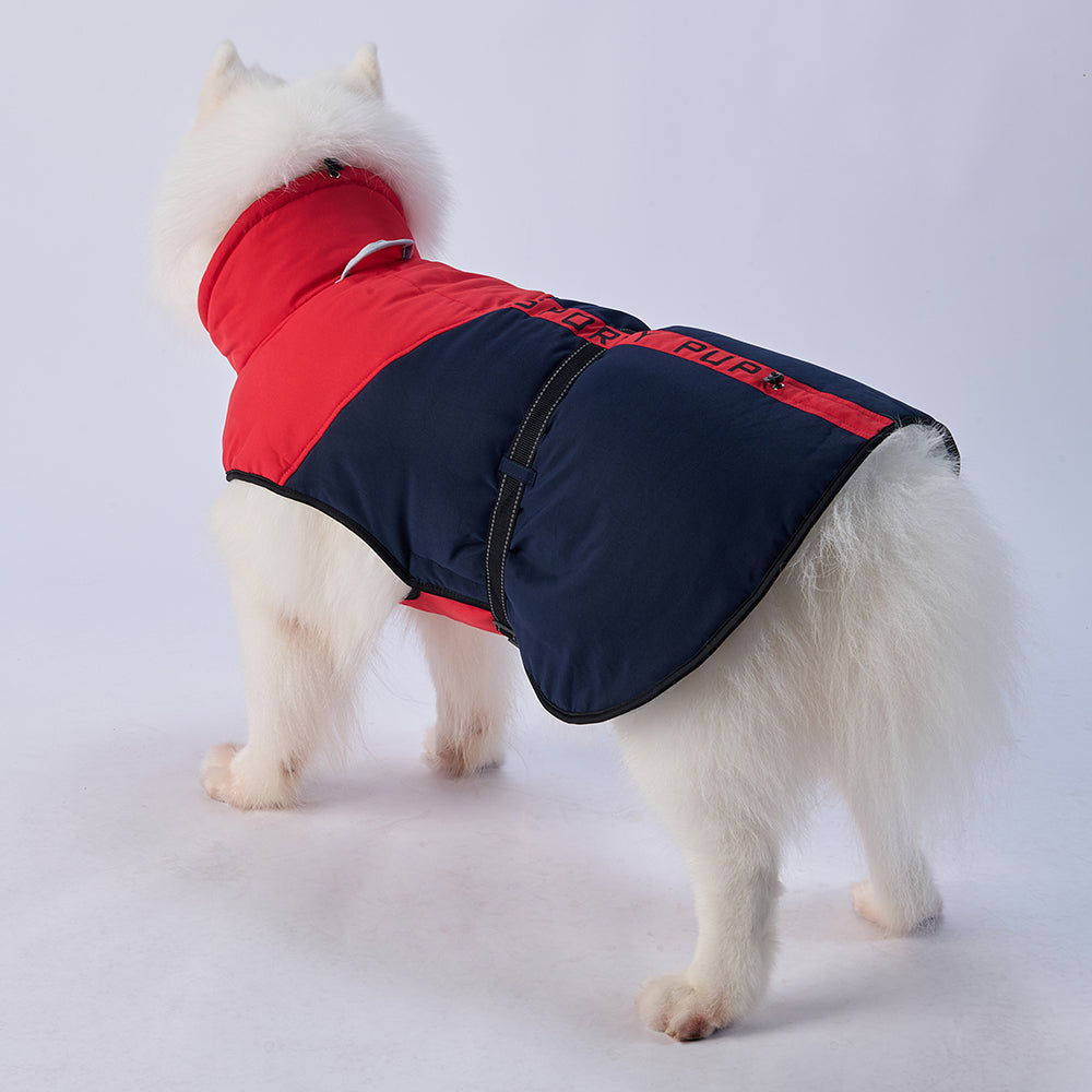 Sporty Belted Dog Coat with Fleece Lining