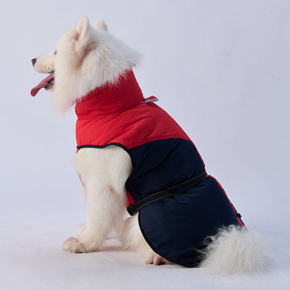 Sporty Belted Dog Coat with Fleece Lining