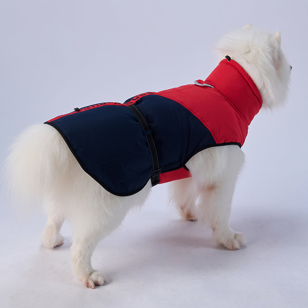 Sporty Belted Dog Coat with Fleece Lining