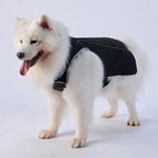Quilted High‑Collar Dog Vest with Fleece Lining