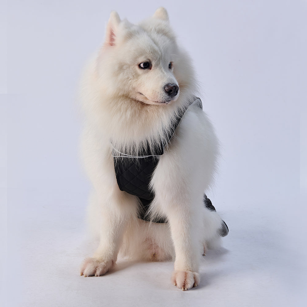 Quilted High‑Collar Dog Vest with Fleece Lining