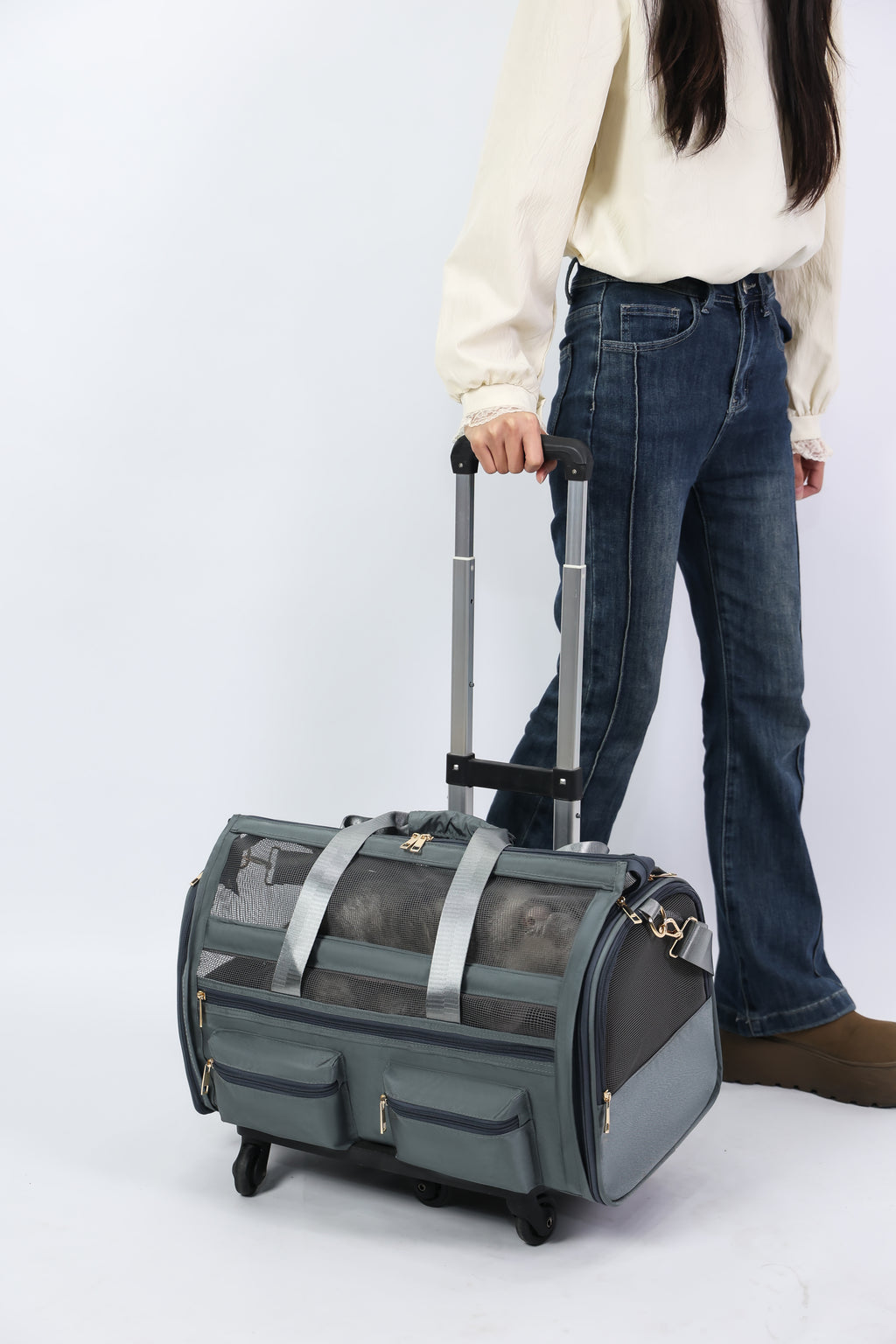 Graphite Carrier - Foldable Pet Backpack – Lightweight & Multi-Access