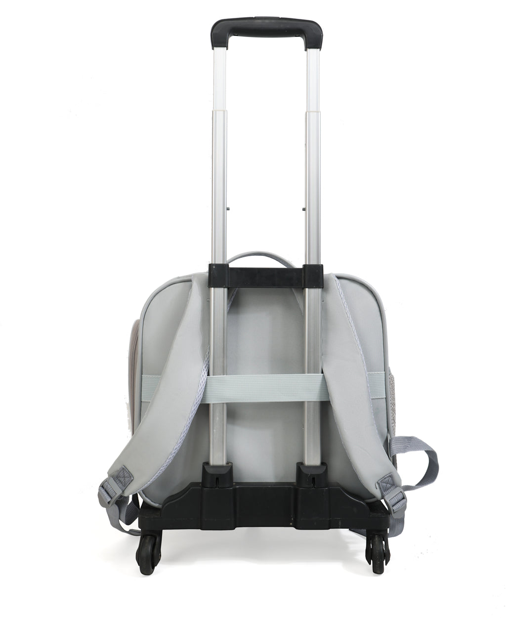 Expand Comfort 2-in-1 Pet Carrier – Expandable, Breathable & Luggage-Ready
