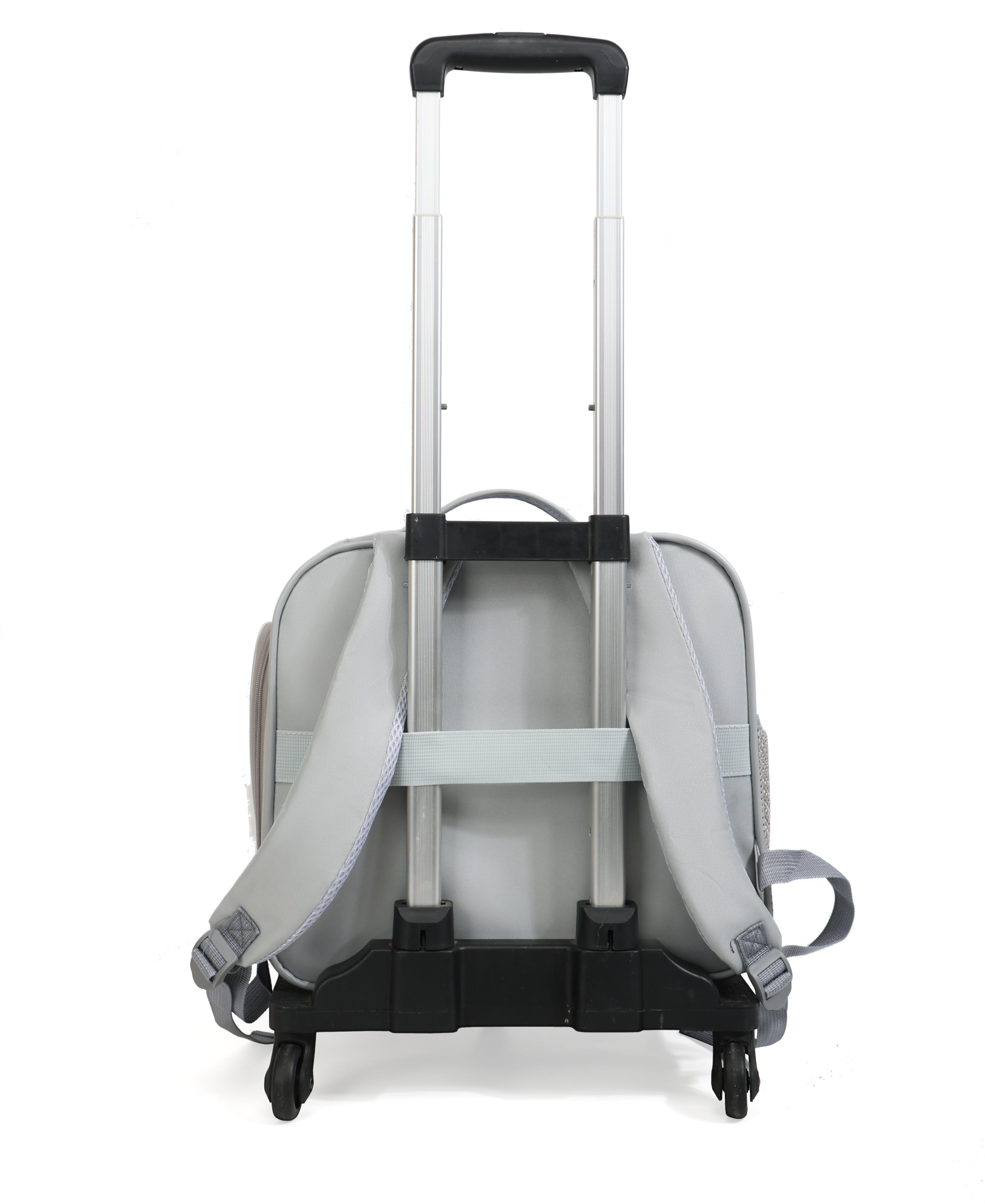 Expand Comfort 2-in-1 Pet Carrier – Expandable, Breathable & Luggage-Ready