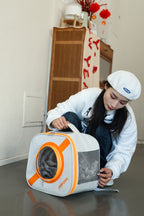 Foldable Pet Carrier - Interactive & Space-Smart