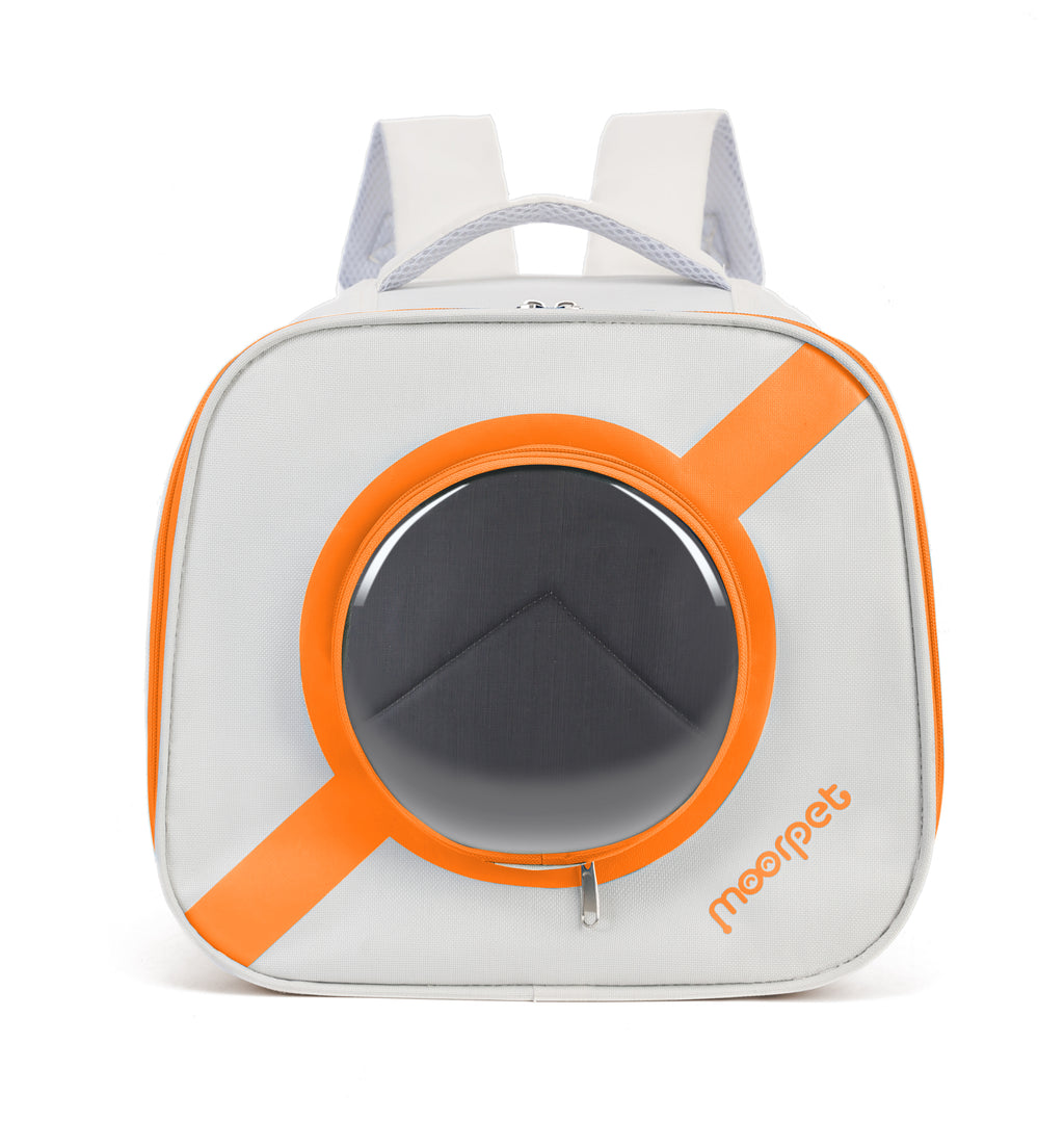 Foldable Pet Carrier - Interactive & Space-Smart