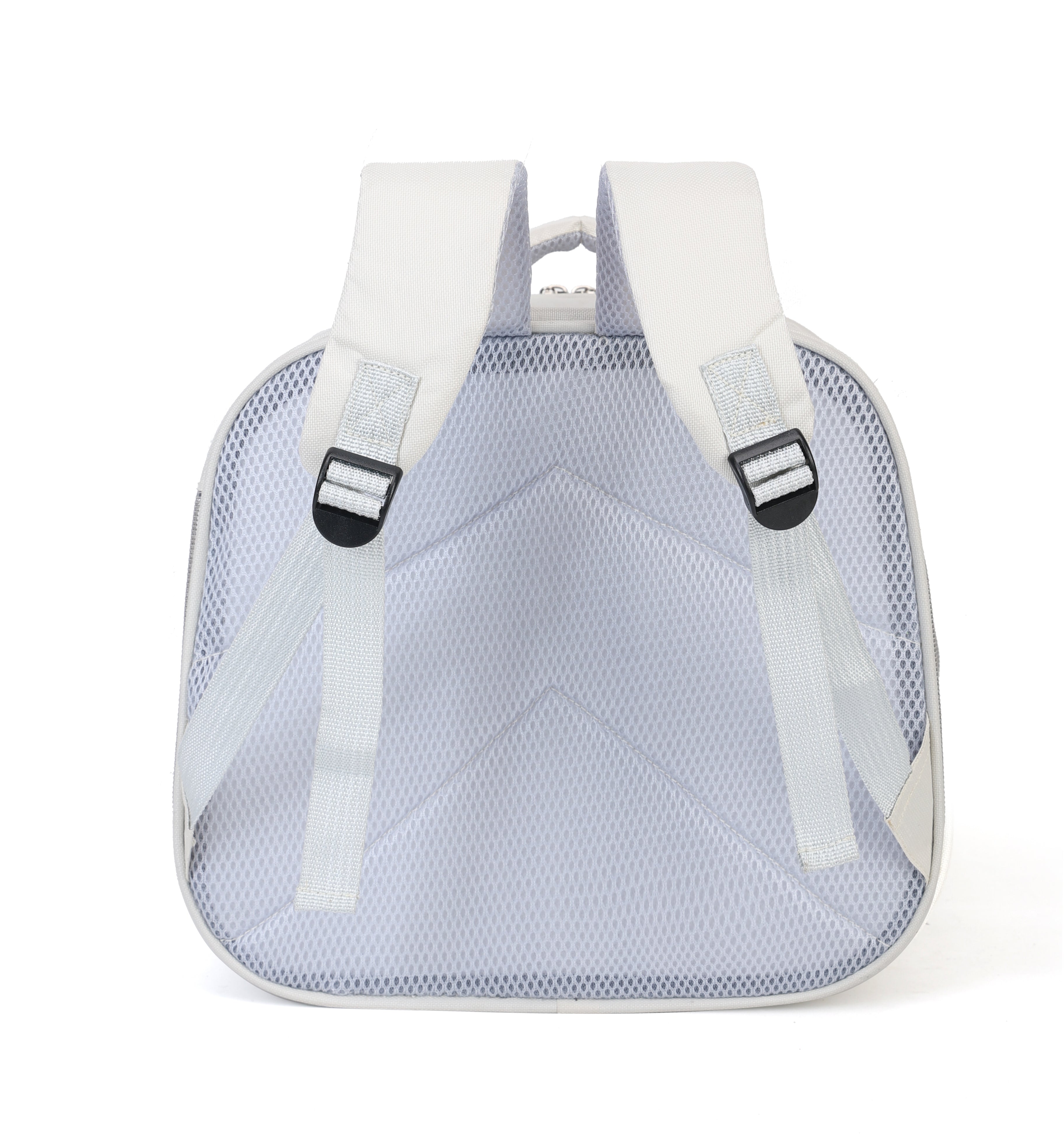 Foldable Pet Carrier - Interactive & Space-Smart