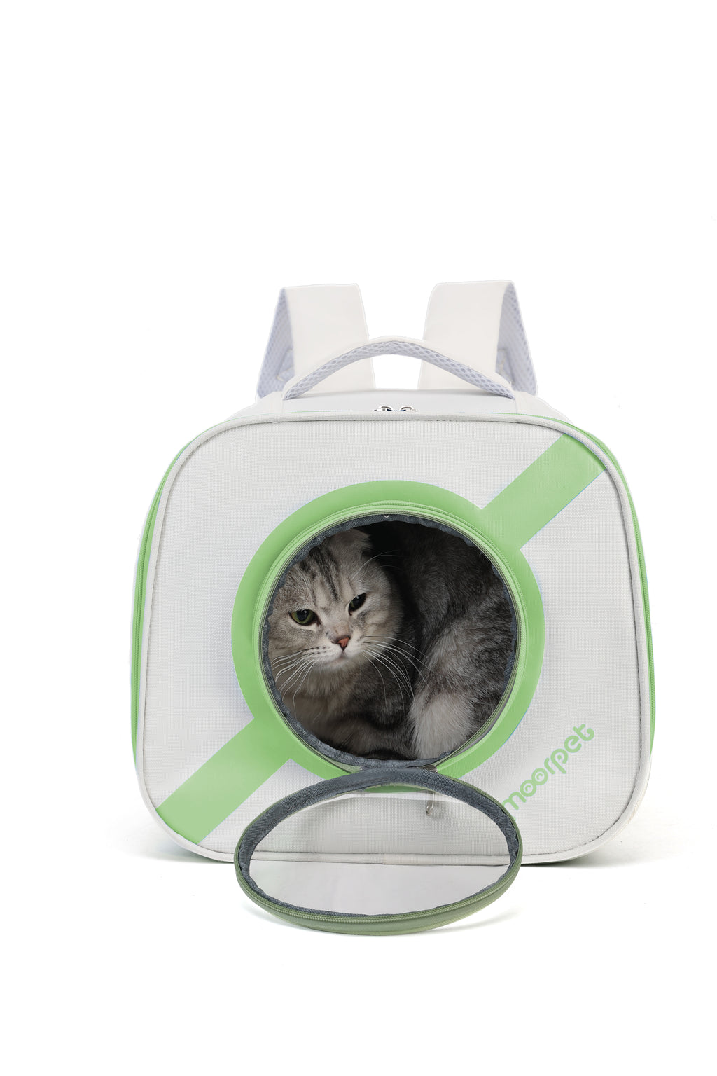 Foldable Pet Carrier - Interactive & Space-Smart
