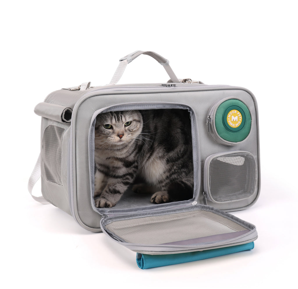 Multi-Color Pet Backpack