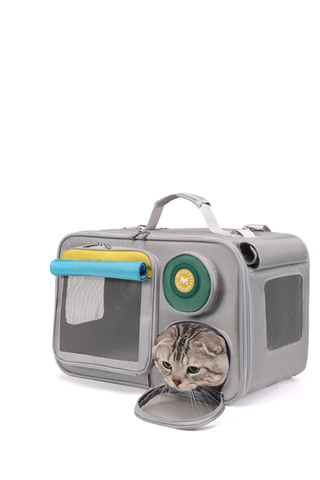 Multi-Color Pet Backpack