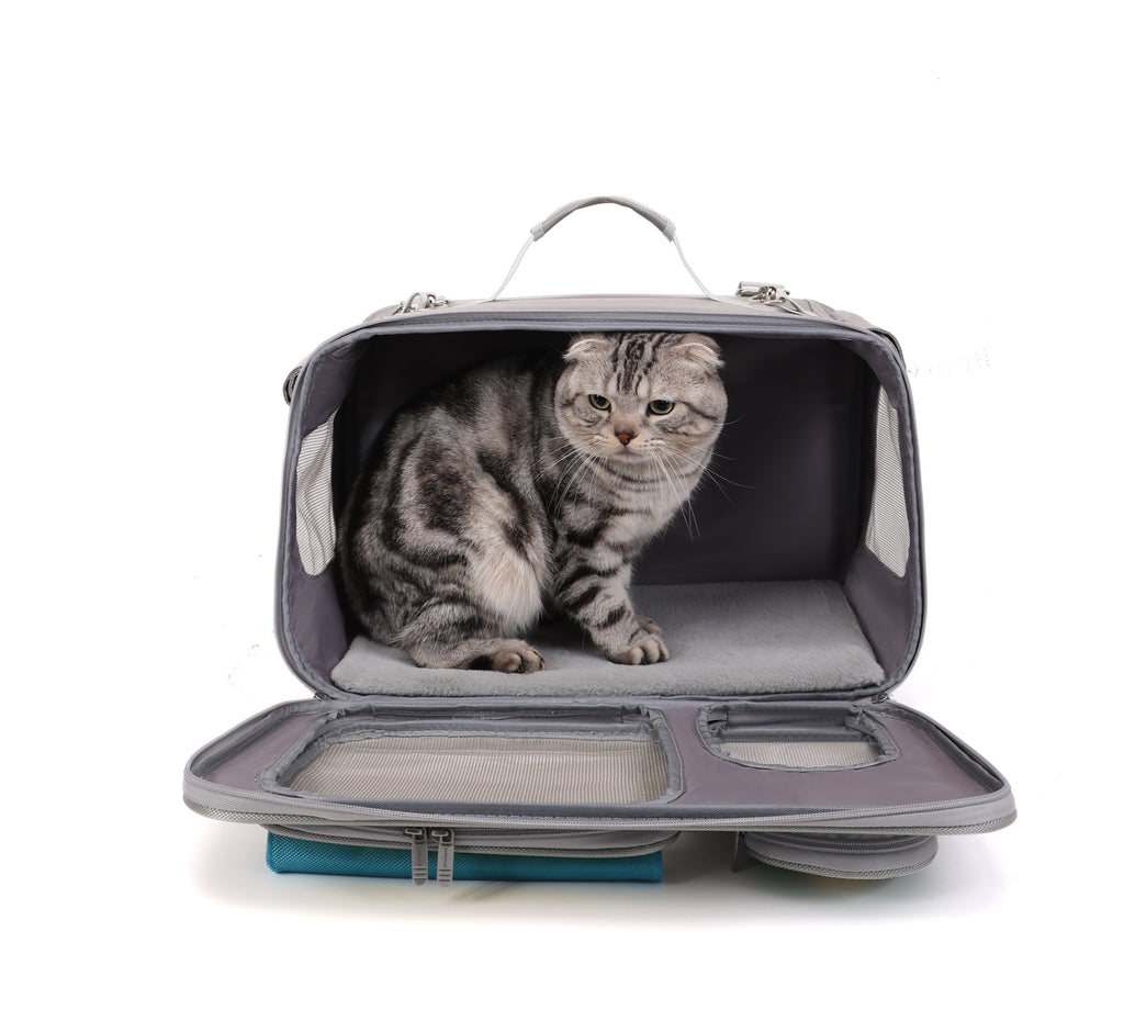 Multi-Color Pet Backpack