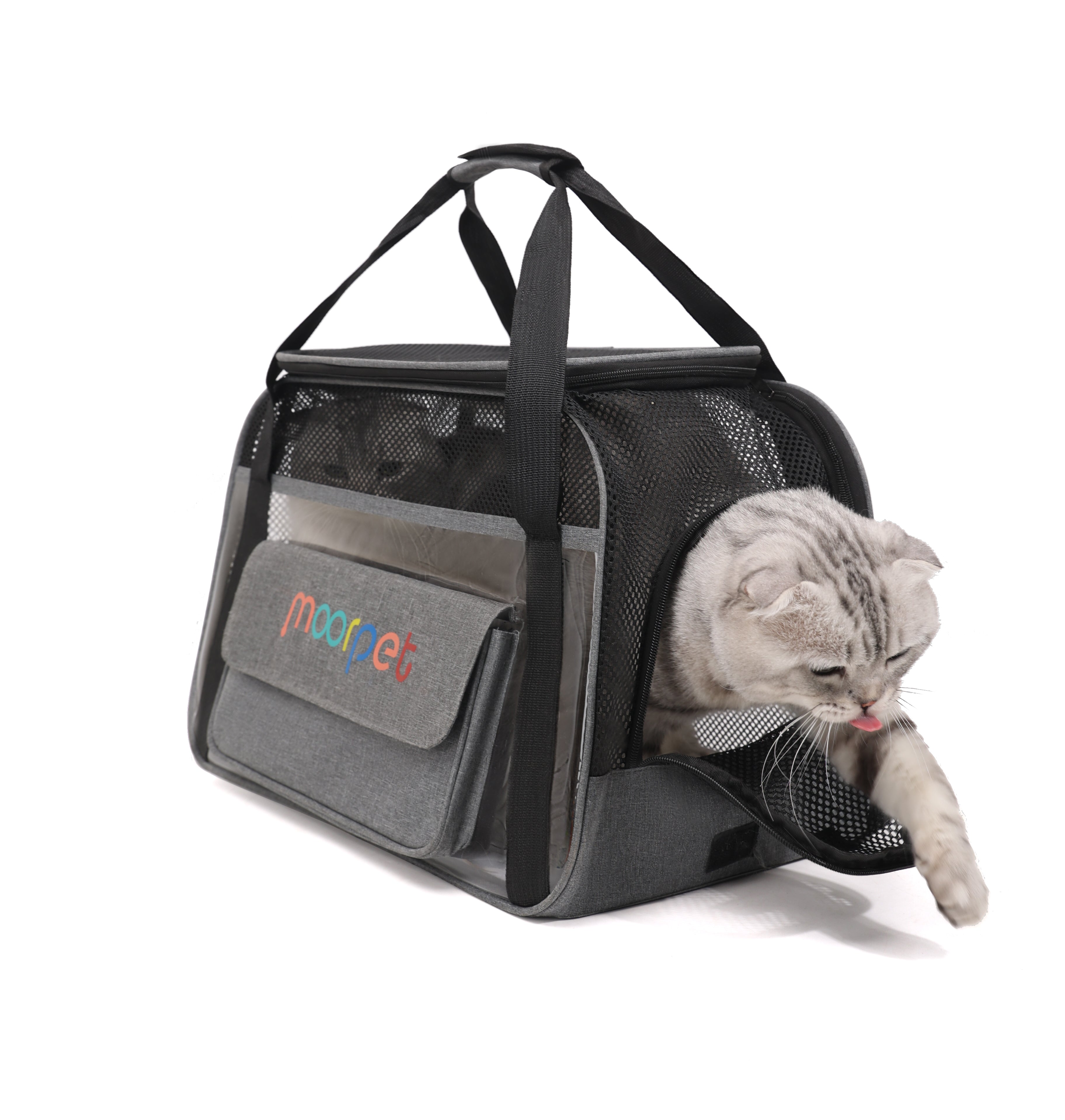 DuoSpace Pet Box – Two-Cat Carrier with Vent & Support Frame