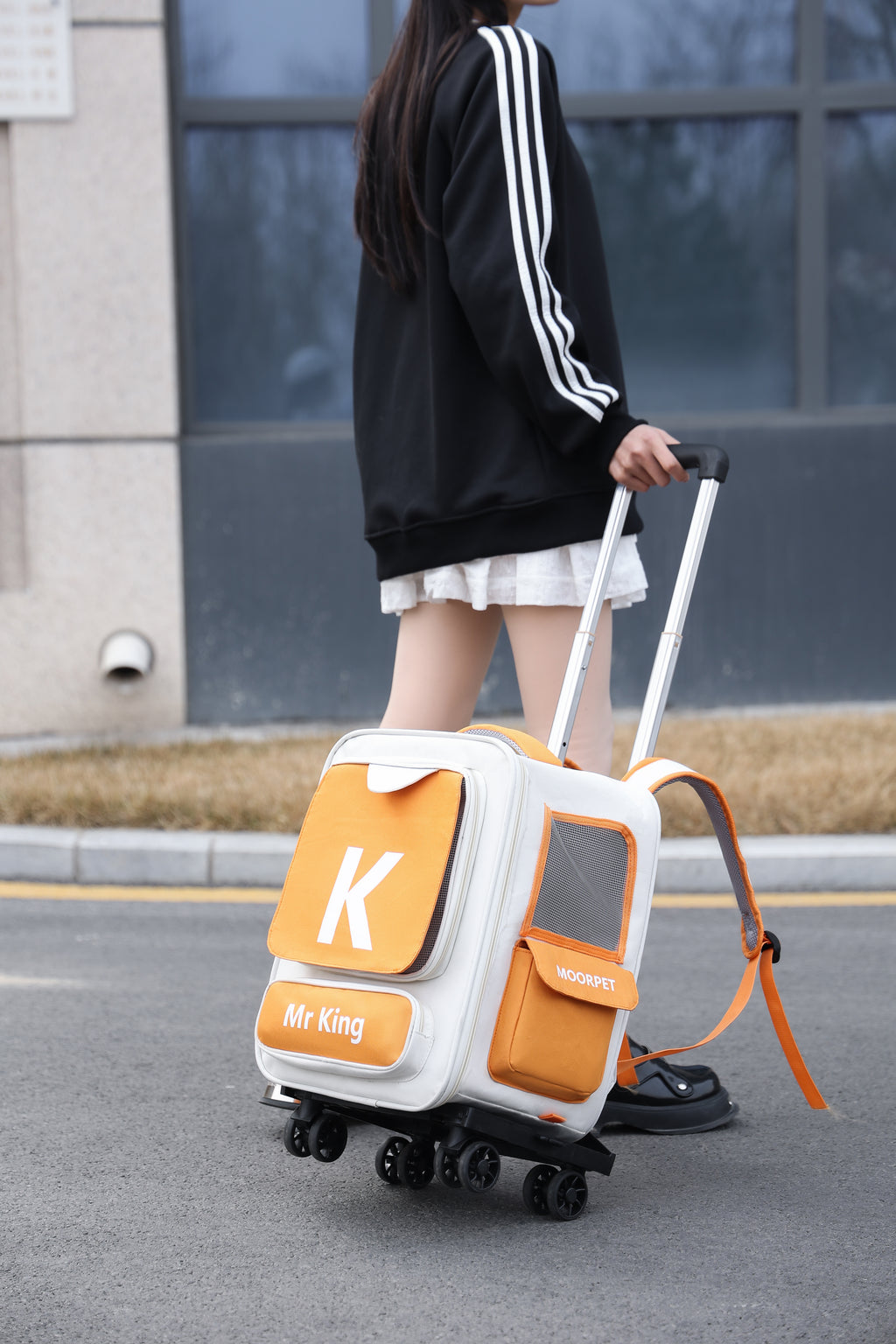 Multi-Air Pet Carrier - Hands-Free & Breathable