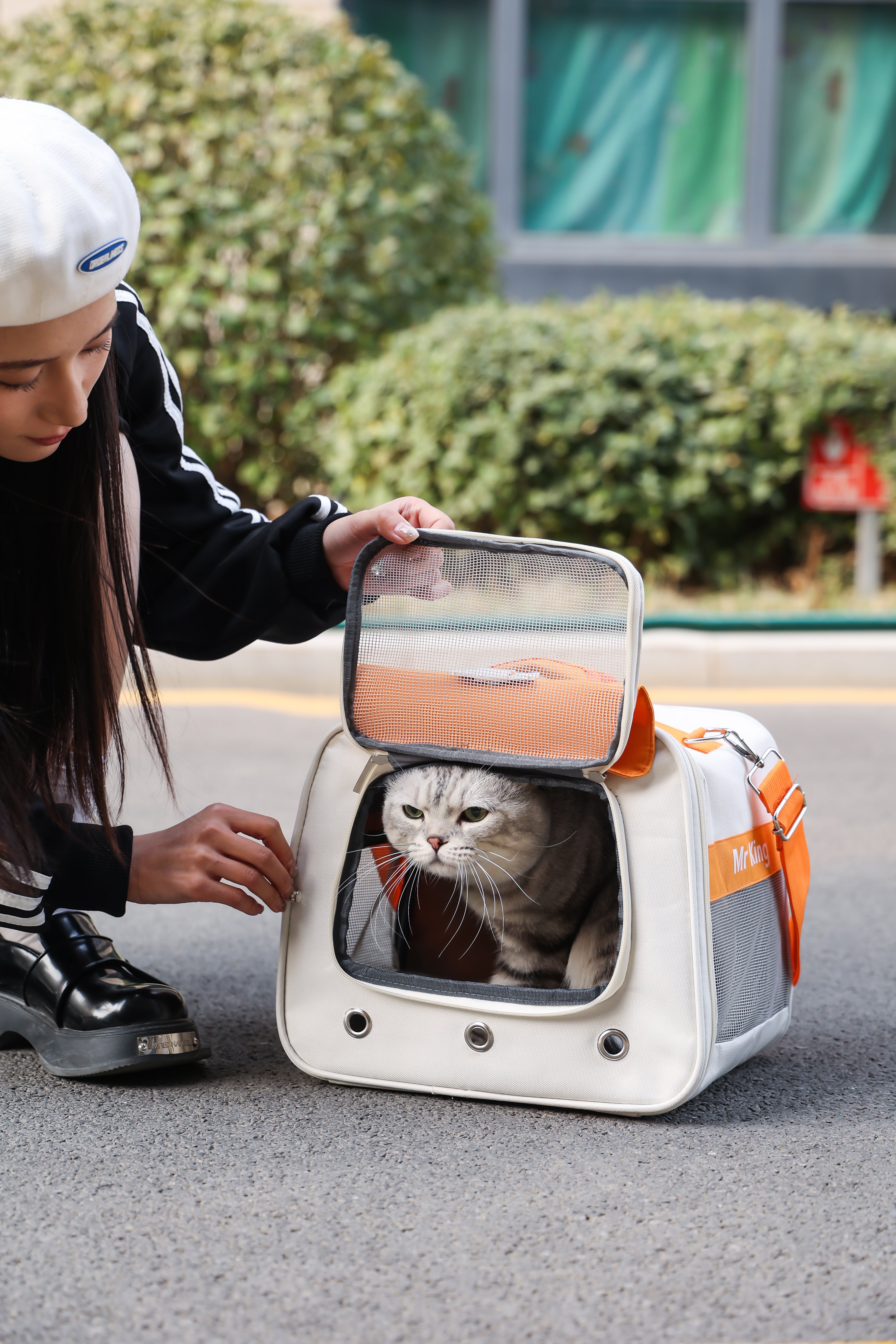 Wide-Entry Pet Carrier - Breathable & For Active Pets
