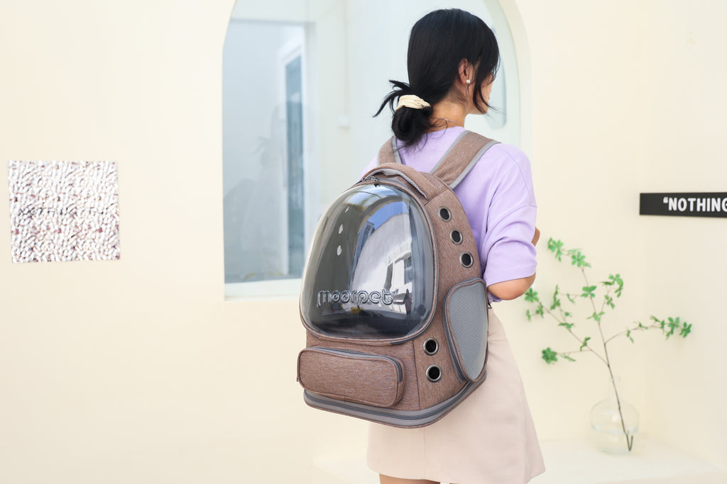Large Capacity & Spine-Friendly Pet Carrier